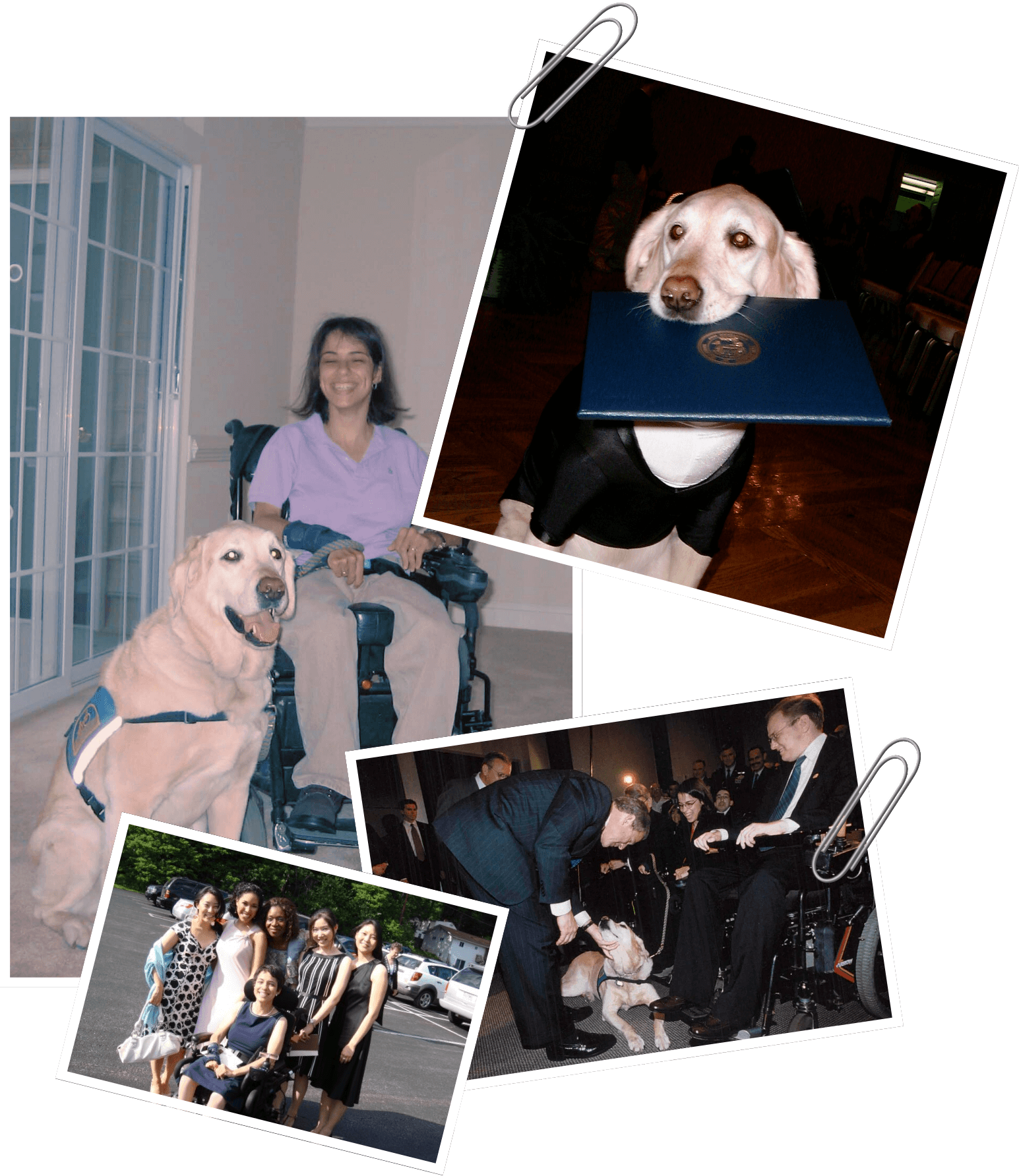 nadia-ibrahim-mossburg-my-story-2001-2007-updated Nadia Ibrahim Mossburg my story 2001-2007