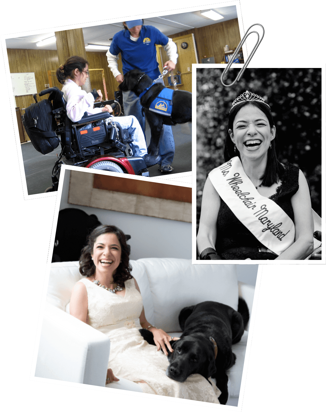 nadia-ibrahim-mossburg-my-story-2008-2016-updated Nadia Ibrahim Mossburg my story 2008-2016